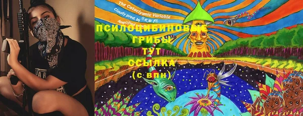 первитин Вязьма