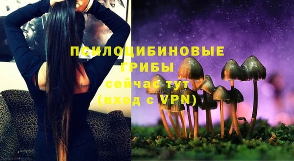 первитин Вязьма