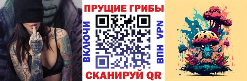 Псилоцибиновые грибы Psilocybine cubensis Городовиковск