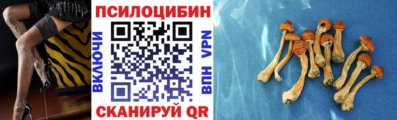 Псилоцибиновые грибы MAGIC MUSHROOMS  KRAKEN маркетплейс  Городовиковск 